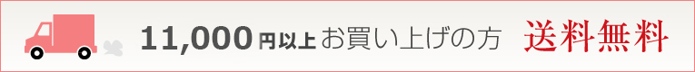 10,800円以上お買い上げの方 送料無料