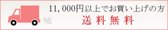 11000円以上お買い上げの方送料無料